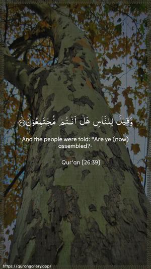 Ash-Shu"araa Ayah 39 - Arabic + English wallpaper