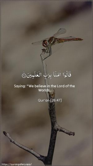 Ash-Shu"araa Ayah 47 - Arabic + English wallpaper