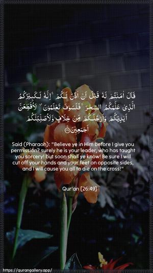 Ash-Shu"araa Ayah 49 - Arabic + English wallpaper
