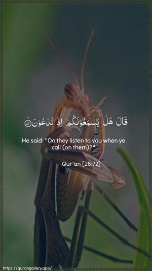 Ash-Shu"araa Ayah 72 - Arabic + English wallpaper