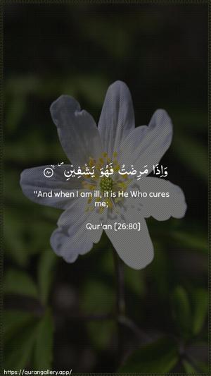 Ash-Shu"araa Ayah 80 - Arabic + English wallpaper