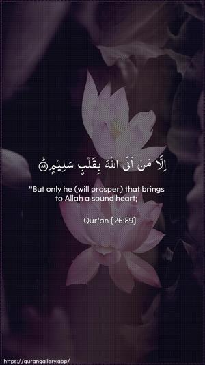 Ash-Shu"araa Ayah 89 - Arabic + English wallpaper