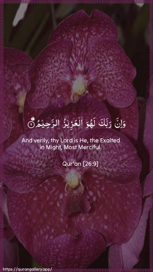 Ash-Shu"araa Ayah 9 - Arabic + English wallpaper
