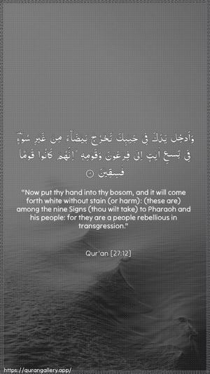 An-Naml Ayah 12 - Arabic + English wallpaper