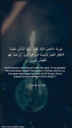 An-Naml Ayah 16 - Arabic + English wallpaper