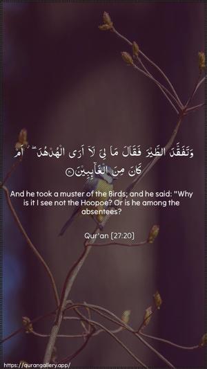 An-Naml Ayah 20 - Arabic + English wallpaper