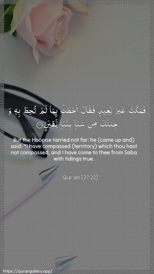 An-Naml Ayah 22 - Arabic + English wallpaper