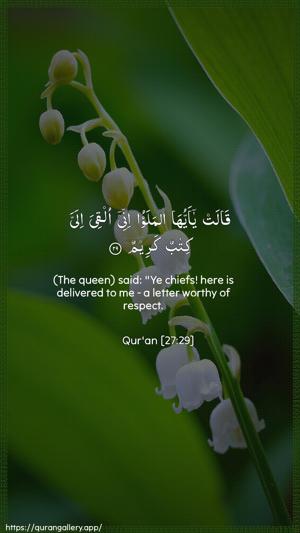 An-Naml Ayah 29 - Arabic + English wallpaper