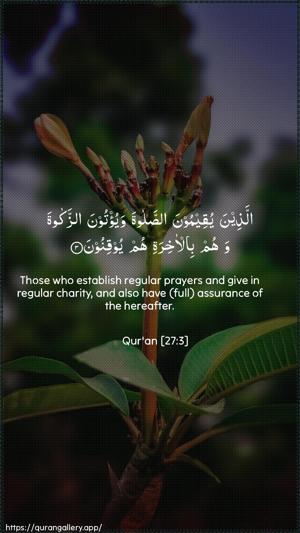 An-Naml Ayah 3 - Arabic + English wallpaper