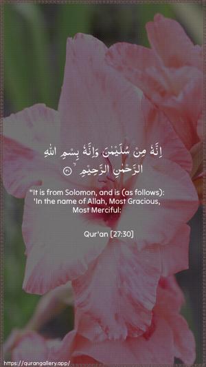An-Naml Ayah 30 - Arabic + English wallpaper
