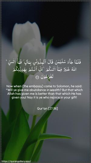 An-Naml Ayah 36 - Arabic + English wallpaper