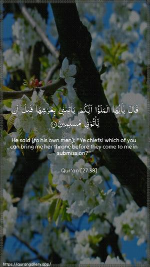 An-Naml Ayah 38 - Arabic + English wallpaper