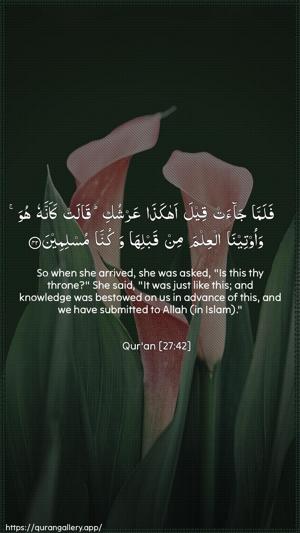 An-Naml Ayah 42 - Arabic + English wallpaper