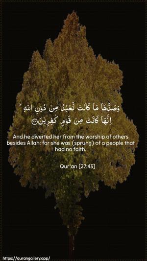 An-Naml Ayah 43 - Arabic + English wallpaper