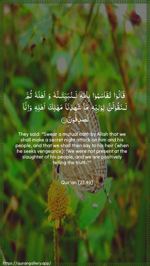 An-Naml Ayah 49 - Arabic + English wallpaper