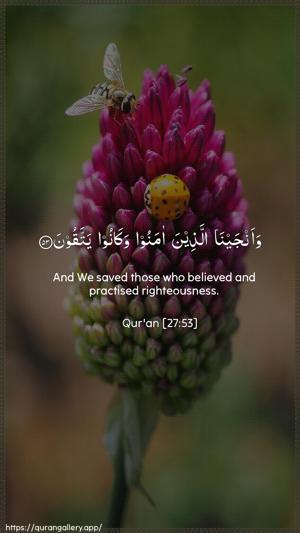 An-Naml Ayah 53 - Arabic + English wallpaper