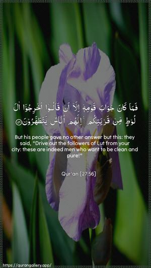 An-Naml Ayah 56 - Arabic + English wallpaper