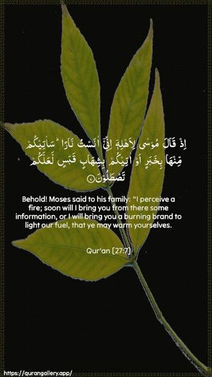 An-Naml Ayah 7 - Arabic + English wallpaper