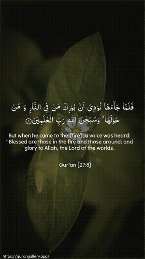 An-Naml Ayah 8 - Arabic + English wallpaper
