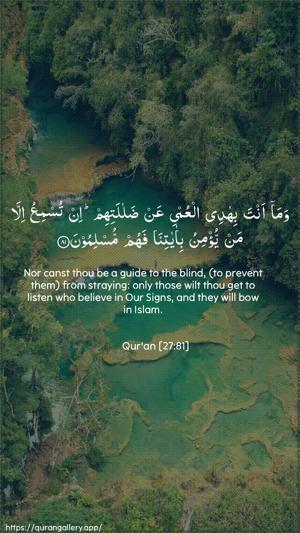 An-Naml Ayah 81 - Arabic + English wallpaper