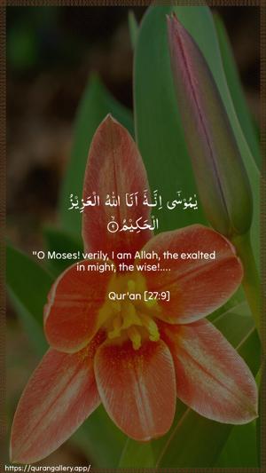 An-Naml Ayah 9 - Arabic + English wallpaper