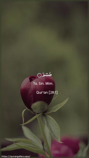 Al-Qasas Ayah 1 - Arabic + English wallpaper