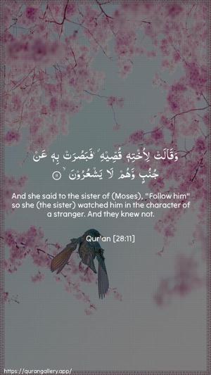 Al-Qasas Ayah 11 - Arabic + English wallpaper