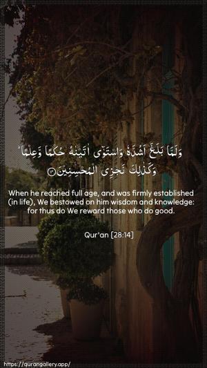 Al-Qasas Ayah 14 - Arabic + English wallpaper