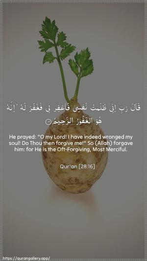 Al-Qasas Ayah 16 - Arabic + English wallpaper