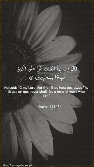Al-Qasas Ayah 17 - Arabic + English wallpaper