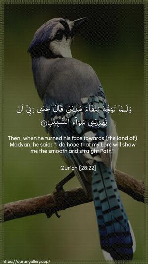 Al-Qasas Ayah 22 - Arabic + English wallpaper