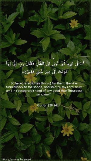 Al-Qasas Ayah 24 - Arabic + English wallpaper