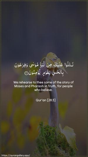 Al-Qasas Ayah 3 - Arabic + English wallpaper