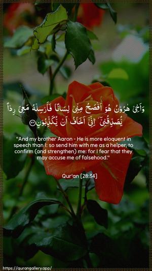 Al-Qasas Ayah 34 - Arabic + English wallpaper