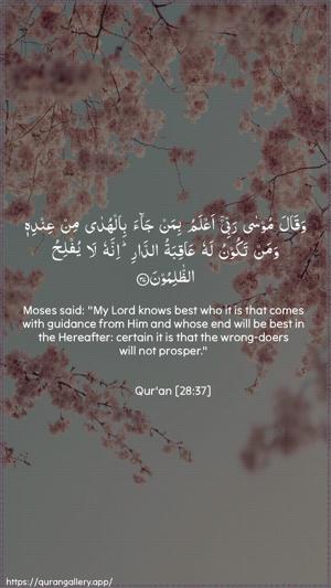 Al-Qasas Ayah 37 - Arabic + English wallpaper
