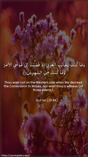 Al-Qasas Ayah 44 - Arabic + English wallpaper