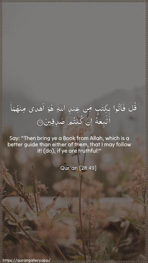 Al-Qasas Ayah 49 - Arabic + English wallpaper