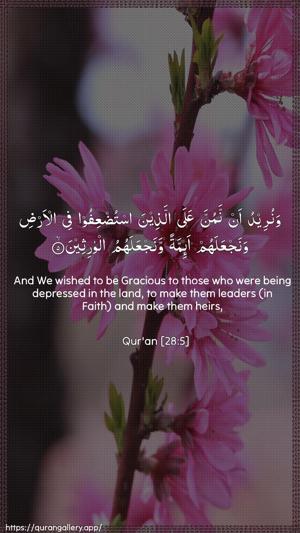 Al-Qasas Ayah 5 - Arabic + English wallpaper