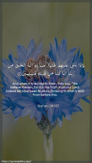 Al-Qasas Ayah 53 - Arabic + English wallpaper