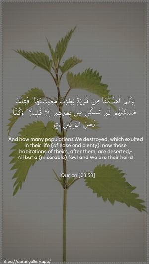 Al-Qasas Ayah 58 - Arabic + English wallpaper