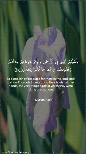 Al-Qasas Ayah 6 - Arabic + English wallpaper