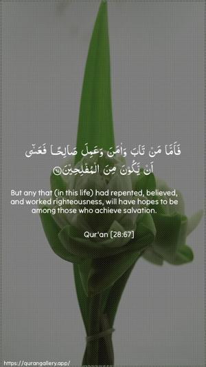 Al-Qasas Ayah 67 - Arabic + English wallpaper