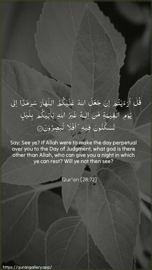 Al-Qasas Ayah 72 - Arabic + English wallpaper