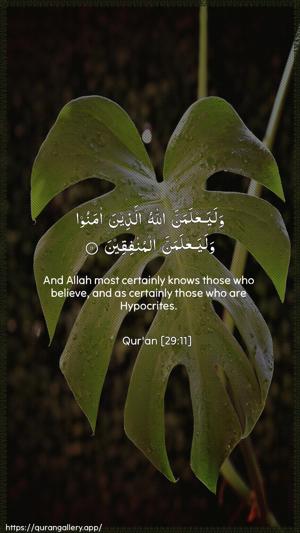 Al-Ankaboot Ayah 11 - Arabic + English wallpaper