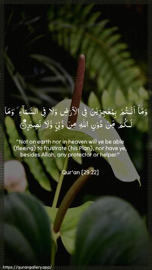 Al-Ankaboot Ayah 22 - Arabic + English wallpaper