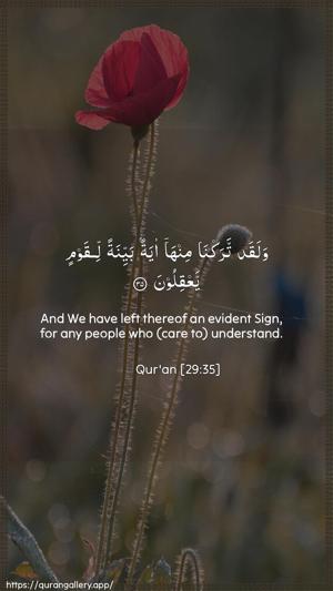 Al-Ankaboot Ayah 35 - Arabic + English wallpaper