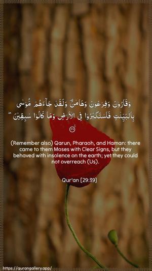 Al-Ankaboot Ayah 39 - Arabic + English wallpaper