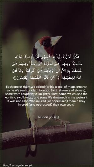 Al-Ankaboot Ayah 40 - Arabic + English wallpaper