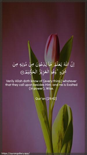 Al-Ankaboot Ayah 42 - Arabic + English wallpaper