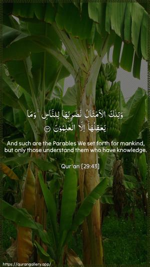 Al-Ankaboot Ayah 43 - Arabic + English wallpaper